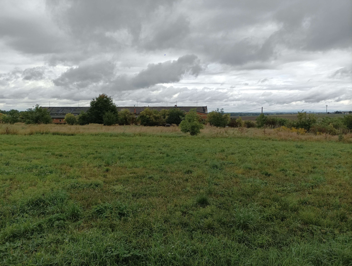 Výhradní prodej stavebního pozemku, 6 871 m2, v Určicích, okr. Prostějov