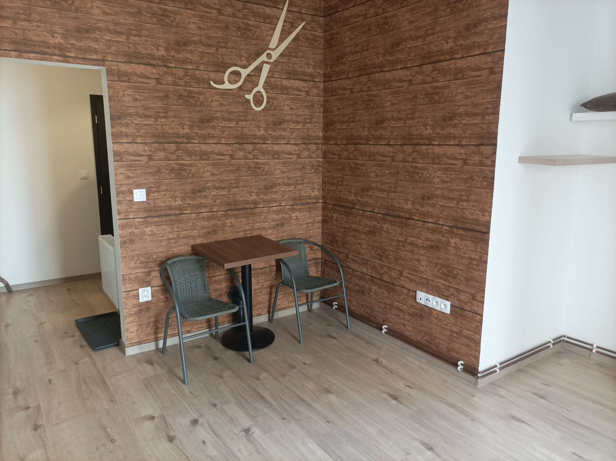 Pronájem bytu 1kk s balkónem poblíž centra Olomouce, ul. Vídeňská